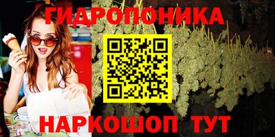 соль ск Моздок
