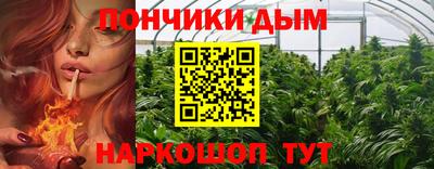 соль ск Моздок