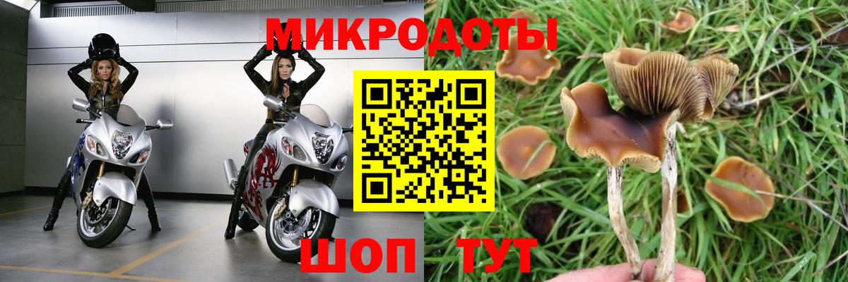 Псилоцибиновые грибы Psilocybine cubensis  Вход с VPN  Галлюциногенные грибы MAGIC MUSHROOMS  Похвистнево 